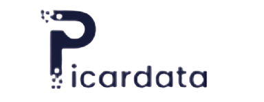 Partner picardata